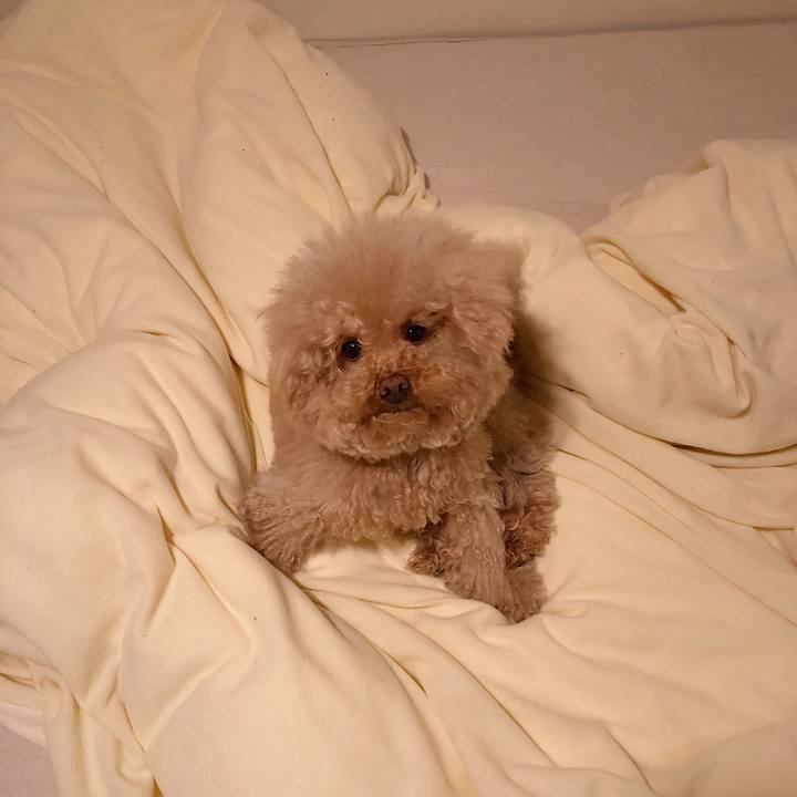 Dc6b4d7e d7dd 4e9e b3bc 663995d1d7ef 1525352575319