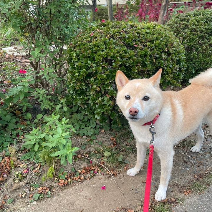 Dc6b57d4 1797 43b1 80a4 e8b6c3288cb0 1667479383301