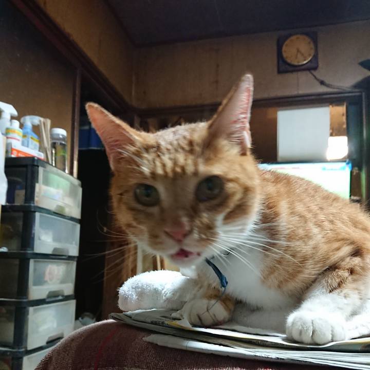 Dc6b807c 3ca5 435c b5a7 164947b2c705 1601545086250