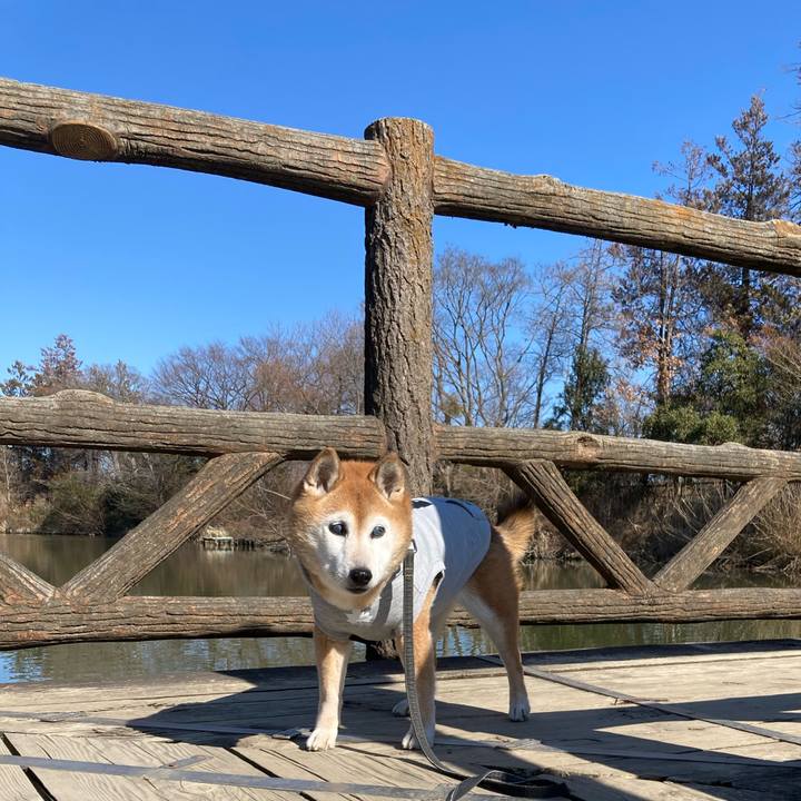 Dc6b9245 53bd 45bd a0cb b12ae83efe57 1770177892011