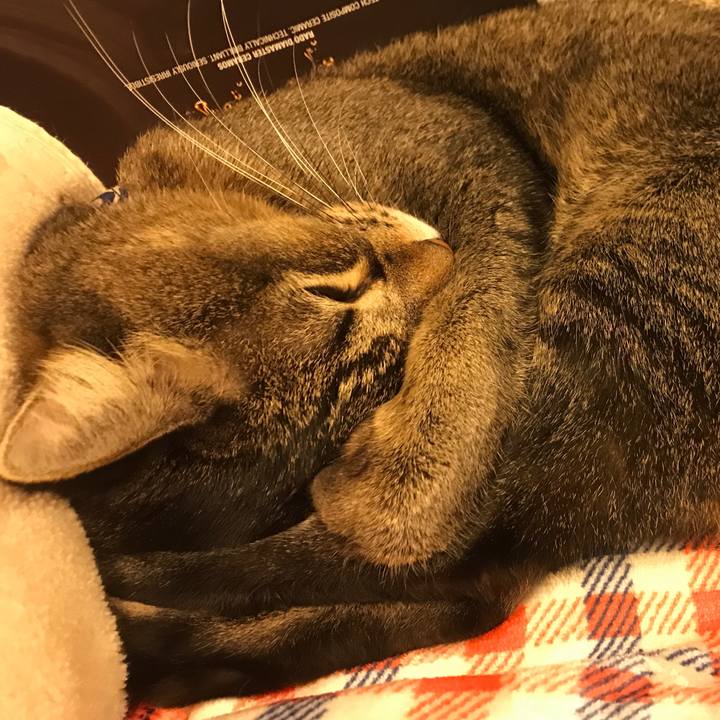 Dc6bbb11 c373 4131 8ba3 cf23579e74bb 1546262608612