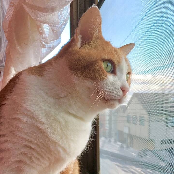 Dc6bc59a 53fc 49d0 8e4e d9fa5f381196 1584689085898