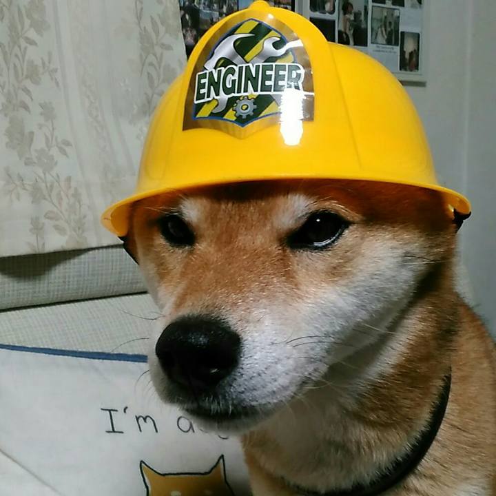 Dc6c3dcf a852 41f6 bef1 3bd68d4ef188 1548507342691