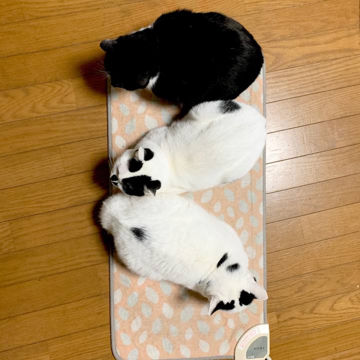 Dc6c59ac e6c8 48a4 a965 34eaf9347146 1581031596211