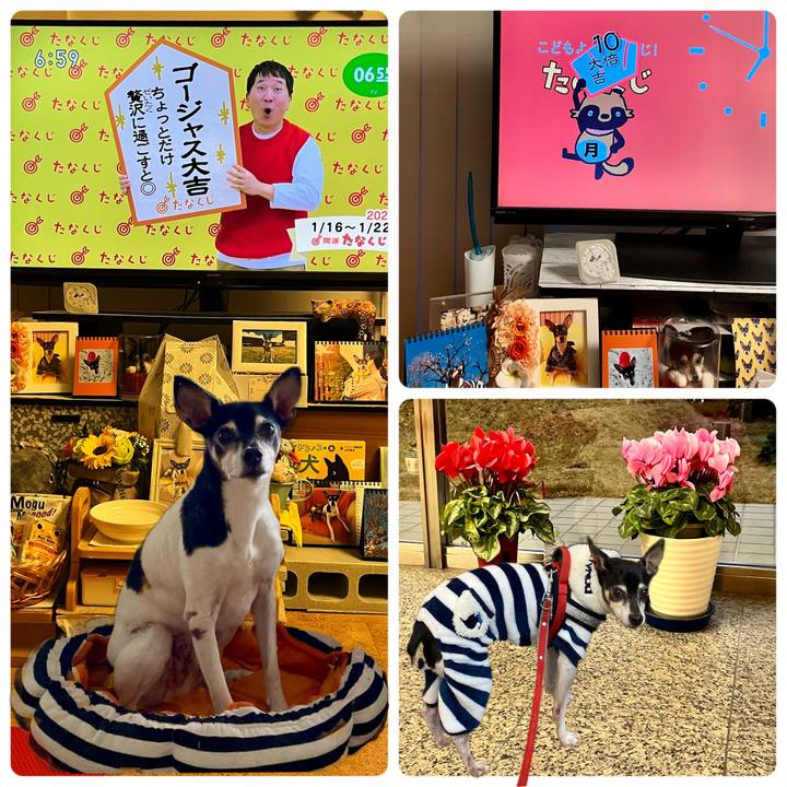 Dc6c5dd8 853b 4063 b154 19fe25223753 1673820381733