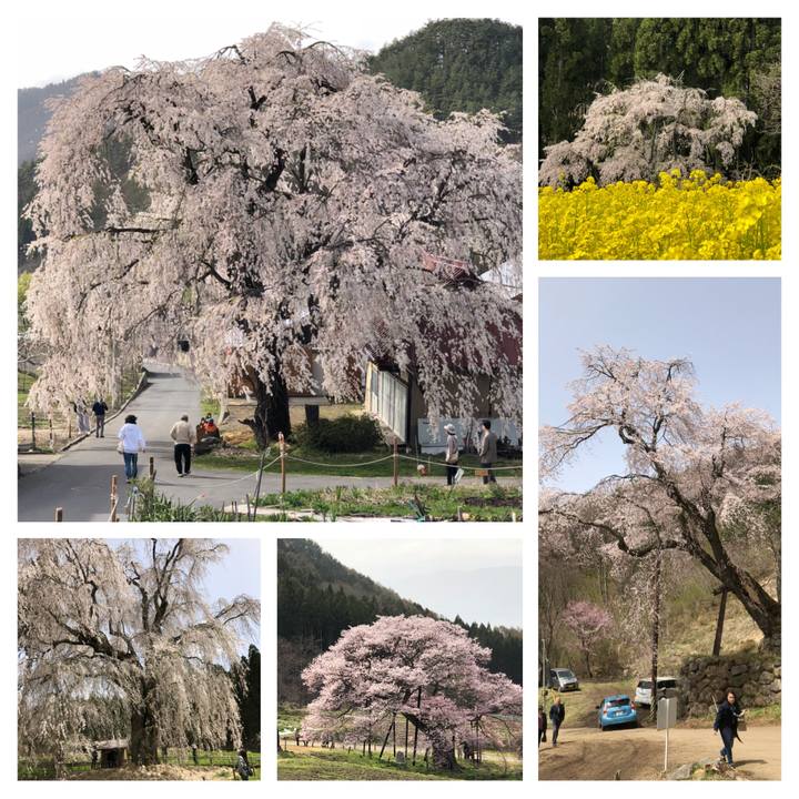 Dc6c9afe de02 43a6 8556 c80aee99c4c7 1523960411856