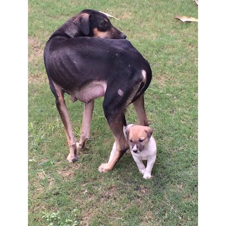 Dc6cc24b b200 4e5a b9a2 e4ee7ec7f959 1510756717136