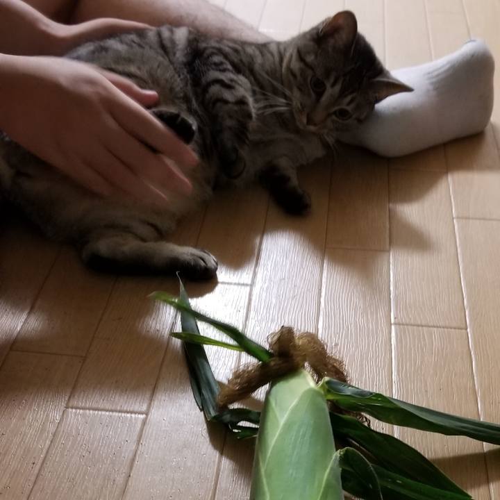 Dc6ce701 8826 4286 9bbe 01b9b39ec1a0 1692459733544