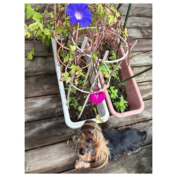 Dc6d283b f7ec 4f1d 9d9b 9a7e53bc72b8 1729720328802