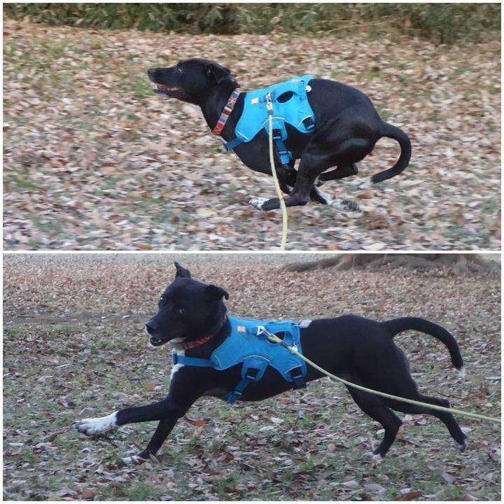 Dc6d4feb 27e0 4ef6 967d 7d67d8442edf 1608249468863