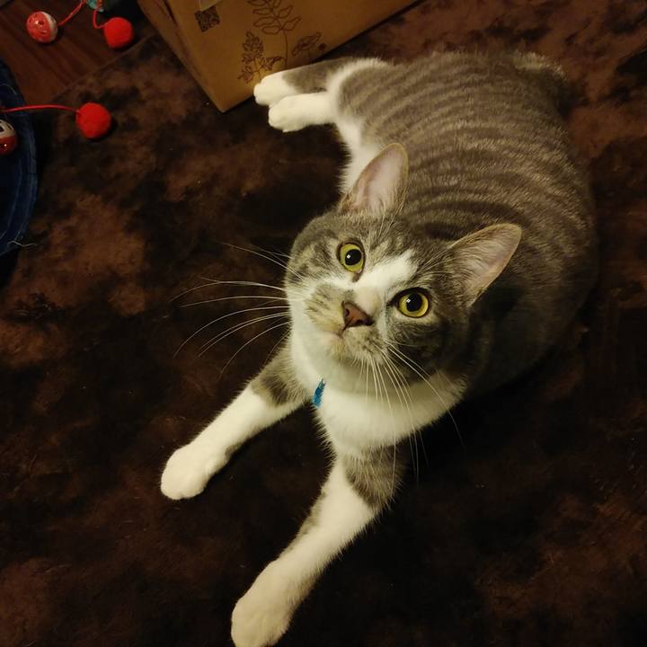 Dc6d63db f6dd 47a6 b278 32254f6cc55d 1579702968408