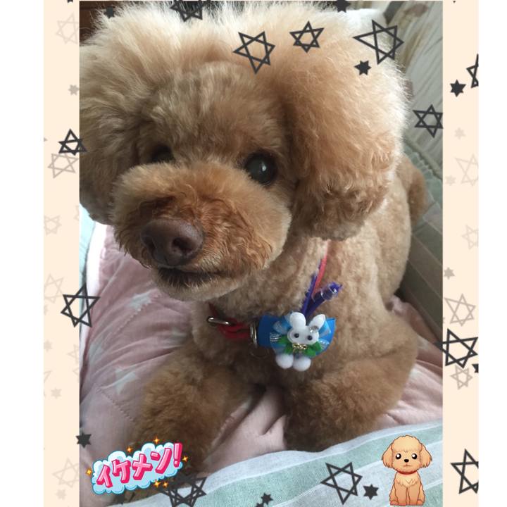 Dc6d8532 6469 485d 9b4a 72bfc7777eef 1527487019155