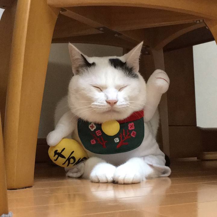 Dc6d8a92 bdce 40d6 972b ef7201edc689 1538214844420