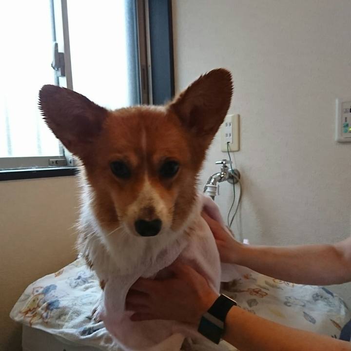 Dc6d96a6 69d9 4def 9bb7 bf590bd9a29f 1537084616117