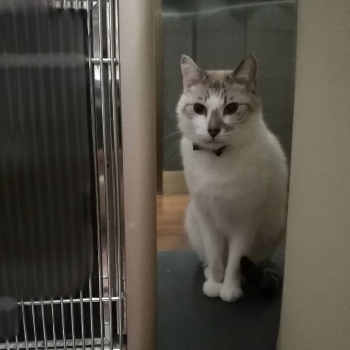 Dc6dc974 9949 46b0 a68f 163d60e2d988 1511180484010