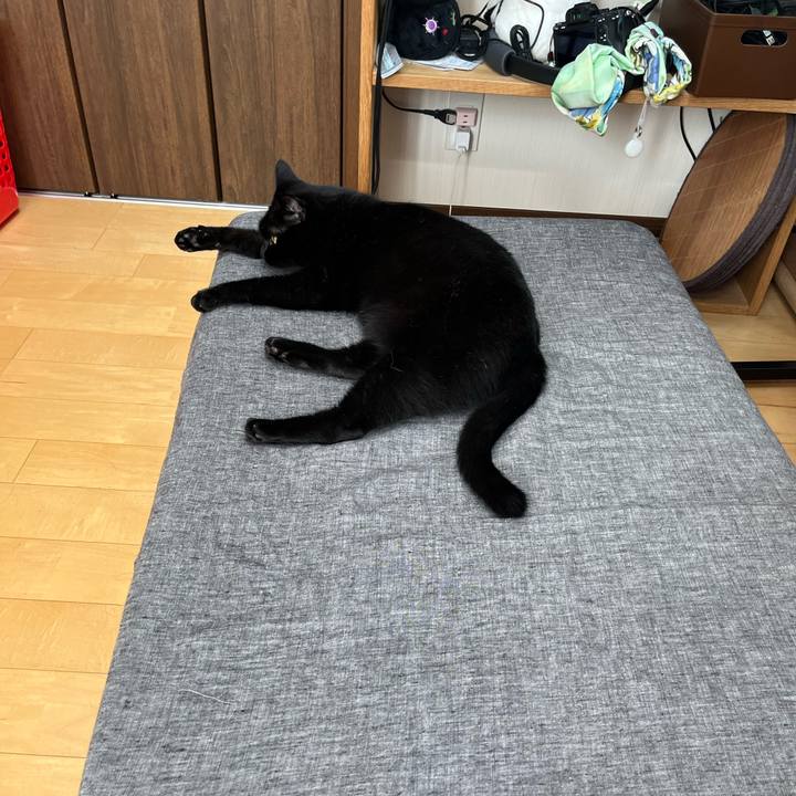 Dc6dd0dd 137d 4890 9916 09aed9722a28 1725840849611