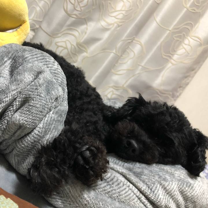 Dc6ddd33 fd87 4561 862b 1642ee846e1f 1596792800204