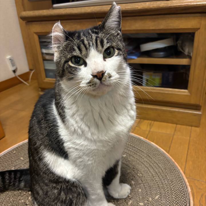 Dc6e1206 d7ed 46f5 8129 df8ddfce2427 1769320028673