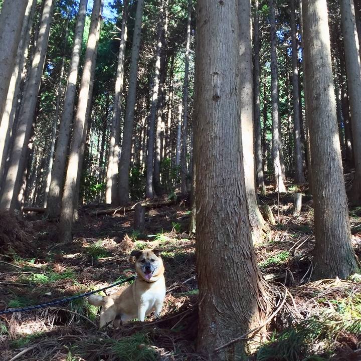 Dc6e3d2f a983 498b 9a3c d1ce2d71b765 1512281683015