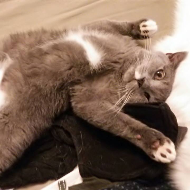 Dc6eb060 0b8f 49df 9a18 16a02f3f5a9c 1539835073337