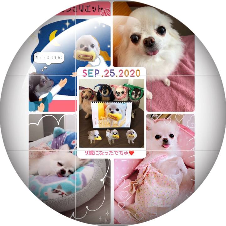 Dc6ecec8 c3b5 40f5 bded d752e3f02aaf 1600996103870