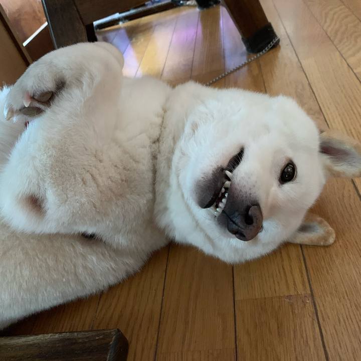 Dc6f5835 5ffc 4e80 90cb 3dd5c2b81809 1577258489990