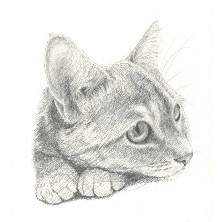 Dc6f706c 3a50 4d8c a7dd 42810711e5ab 1540902009563