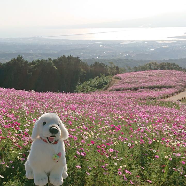 Dc6fb381 3428 4940 97d1 2664b8a24931 1602667580965