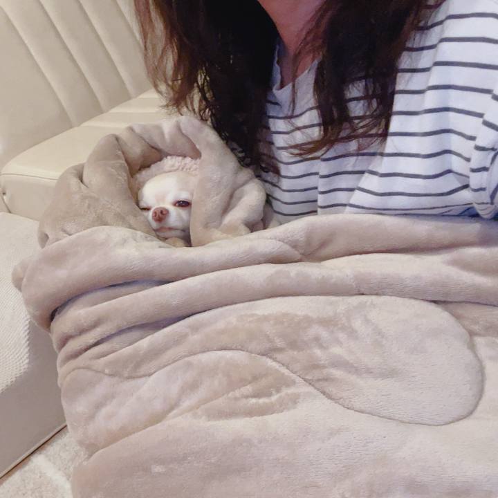 Dc6fcae1 6b05 47a8 9f0e 9df7c666b9be 1761134538904