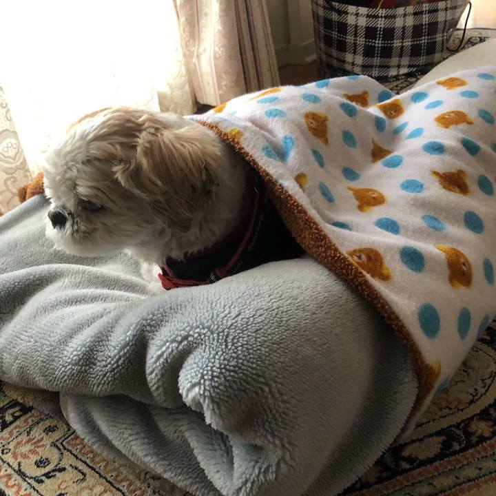 Dc700154 aa9c 4d7d b869 b7578967f71e 1609287472044