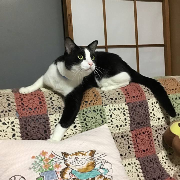 Dc70022f e0ee 49bd b9f5 2a3d993b2508 1725620445367