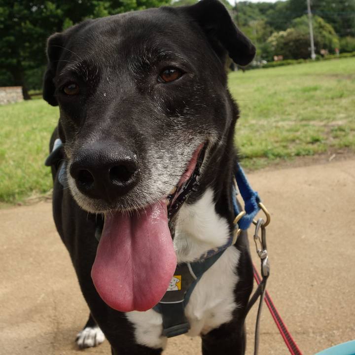 Dc70064f fc36 4408 adc0 e26ee1049133 1717201393609