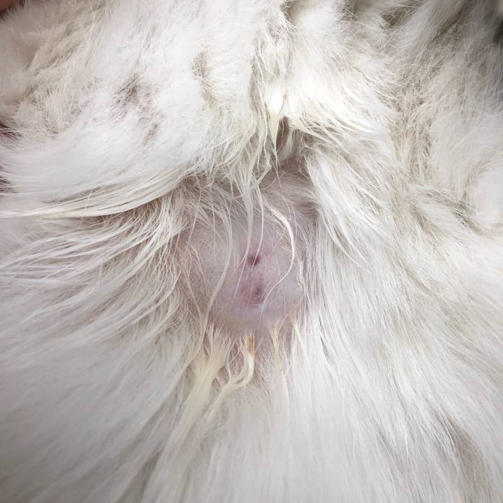 Dc7025c0 f33a 44c8 a9b5 4f6b2d016fd4 1590153555253