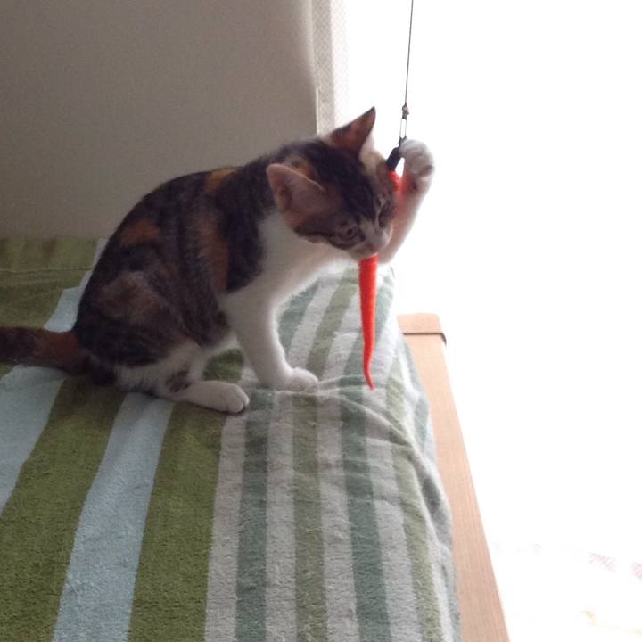 Dc7095d7 36fd 48ab bd8a 2669d728b953 1628318906931