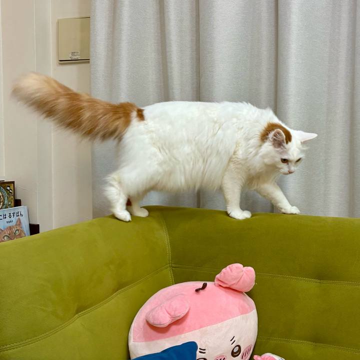 Dc70aa90 c635 479f 87cb 719e5d2b5021 1775619666527