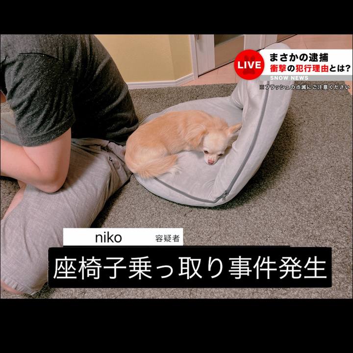 Dc70d01e b820 4643 8ad0 16df0aa8de87 1660717603899