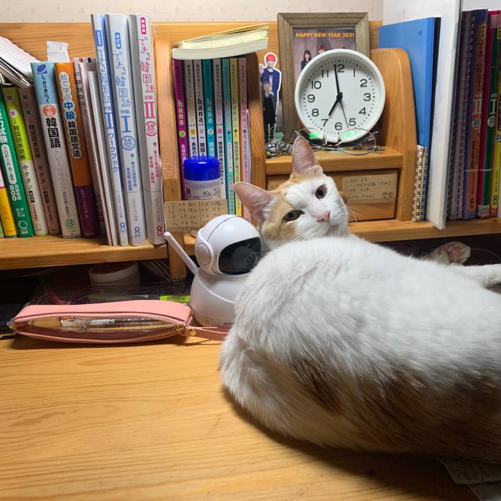 Dc70f75b 41ae 4fd0 a250 708403062673 1644444331996