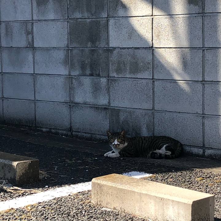 Dc71212b 03e8 4f2d af9c 39ec90bb49de 1617092266524