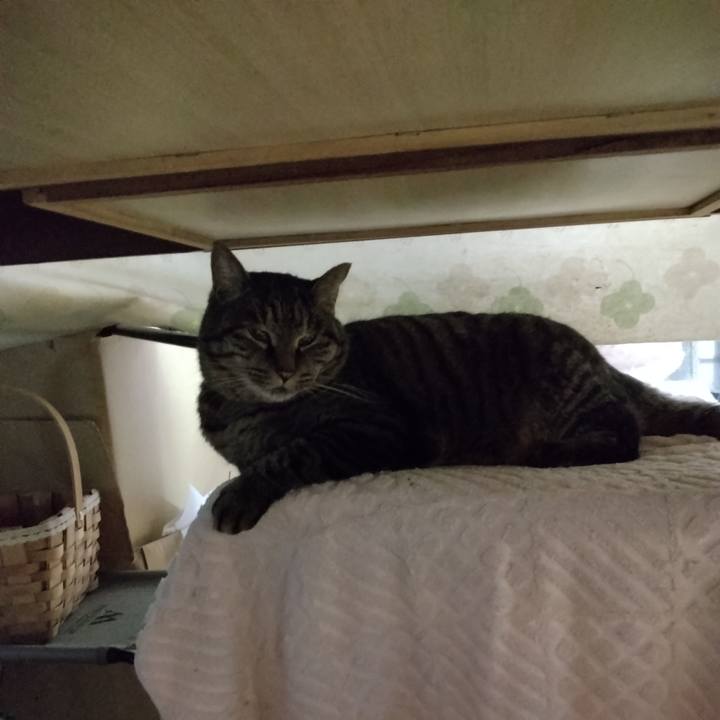 Dc7156a1 b22f 479c 8cab 6b742bf8ec33 1672613720326