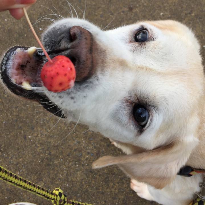 Dc716437 627d 4ae9 baa5 ae8583b1d5db 1537233022981