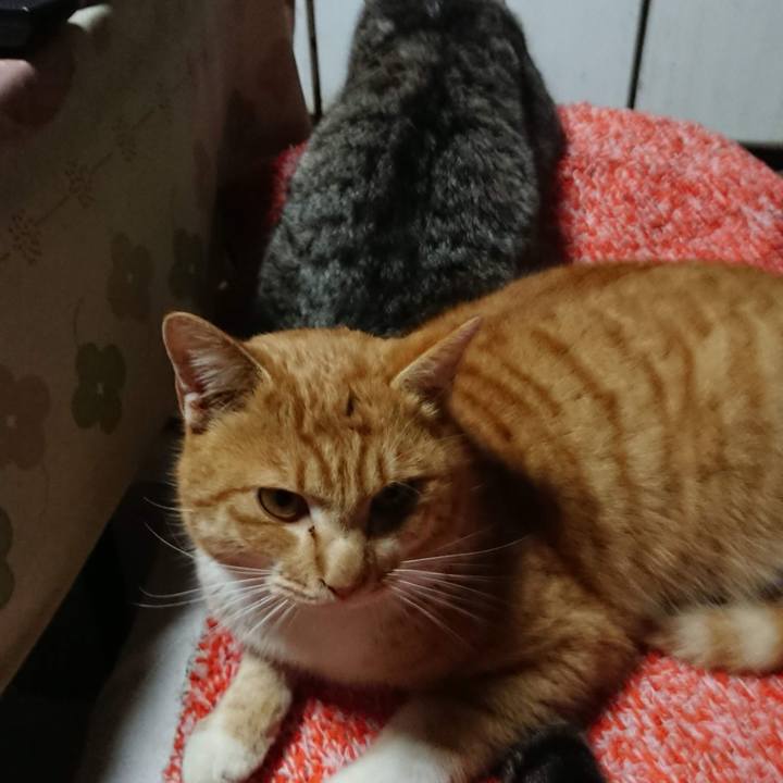 Dc717673 5556 4223 be5a c405f7b05f09 1550751300714