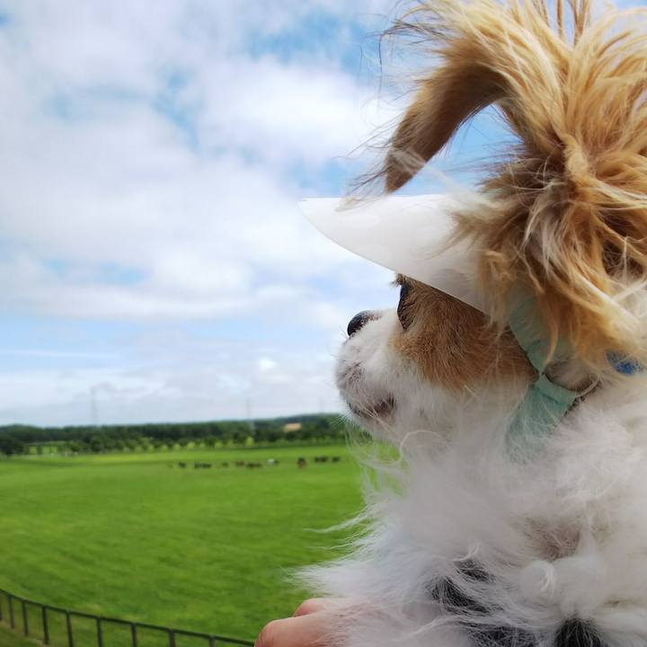 Dc717ce1 ab68 4cf6 af26 1e4e4d89ee90 1532843425231