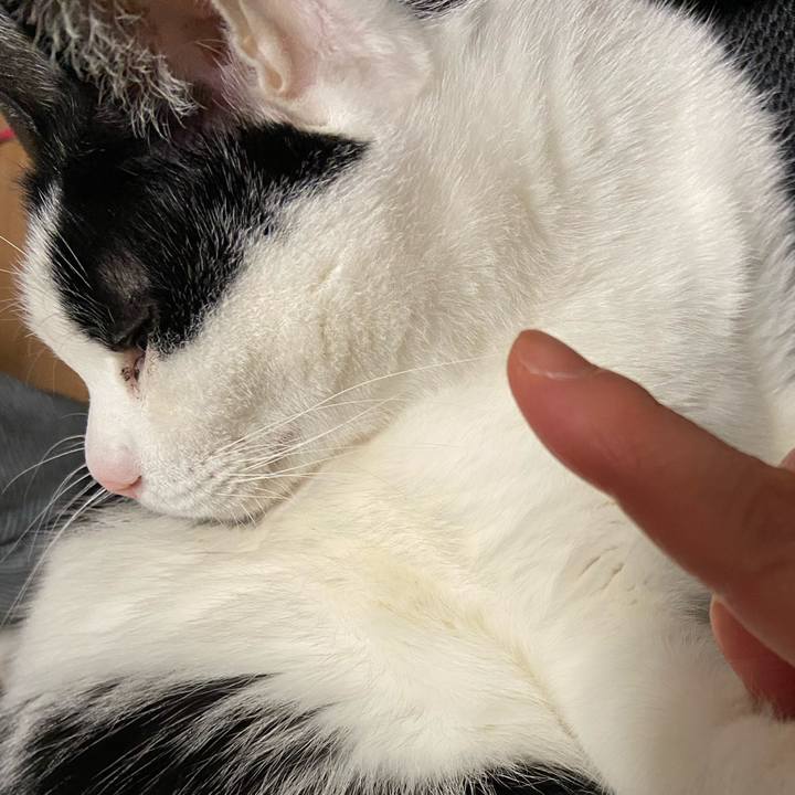 Dc71aae0 d577 439f 8008 e3ec6680cd1a 1584188332235