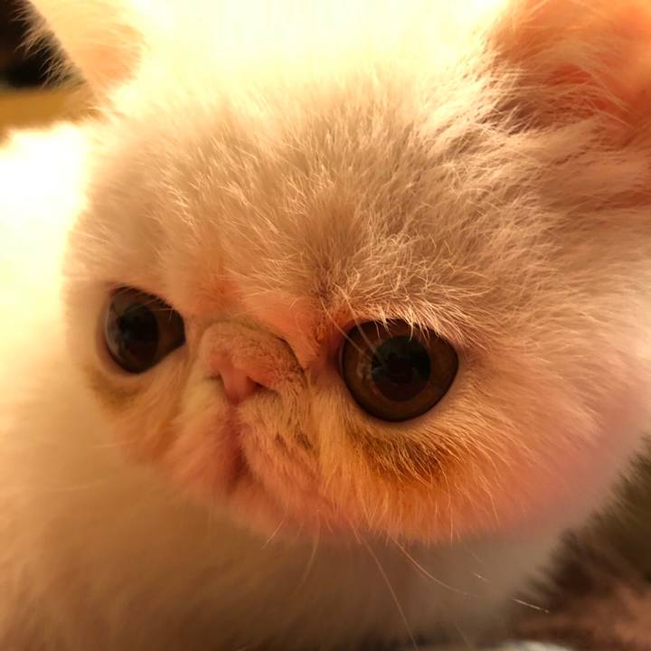 Dc71adc6 676b 4260 b402 f448dac8d5db 1546586709983