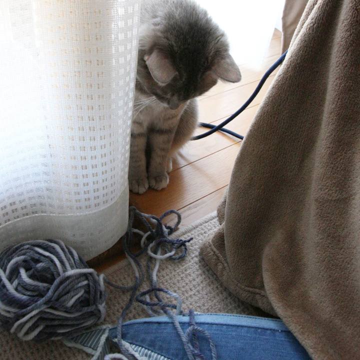 Dc71ec64 cee8 497f bb9b a9d11a8e2cec 1543043591627