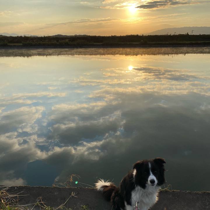 Dc71ffc9 54d2 4fd3 a17e 59644b5ac425 1604963452242