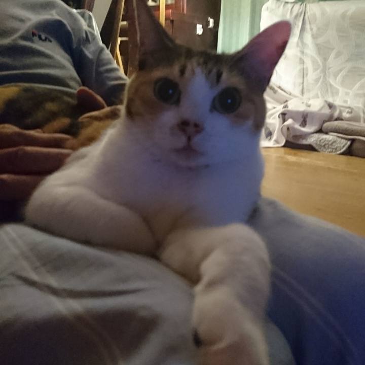 Dc7207cd 5111 4711 afb2 6f1216e8d715 1566135070566