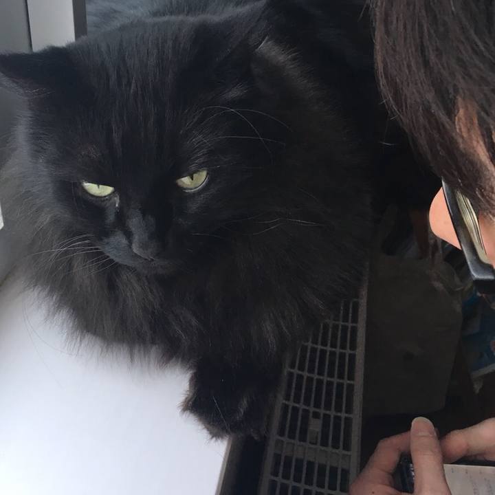 Dc72671b 7b3a 45d3 97f9 f89c82aa4dbf 1545533368110