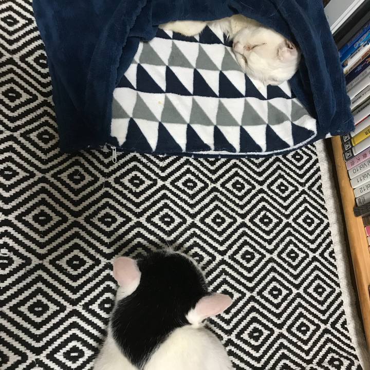 Dc728d4c 7e79 450c a6c1 51a7a9ae5aa3 1538318684462