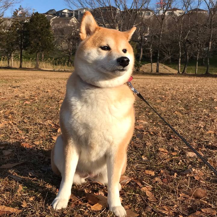 Dc72dfb7 e57d 4abd 8b64 e4497d95ed6f 1547978441305